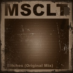 Musicality - Bitches (Original Mix)