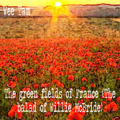 The Green Fields Of France (the Ballad Of Willie McBride)