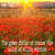 Artwork for The Green Fields Of France (the Ballad Of Willie McBride)
