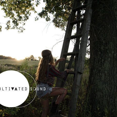 Terekke - Untitled (A1)