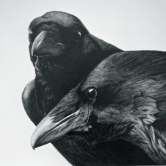 Corvus || Chester Watson • Art Vandelay