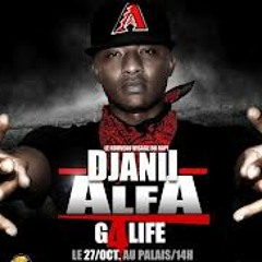 06 Djanii Alfa Seiland Kutchi