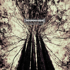 Inseparable From The Void