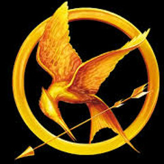 Hunger Games | Forever in Your Favor | Raisi K.