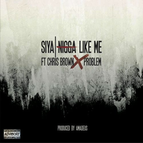 NIGGA LIKE ME ft. CHRIS BROWN & PROBLEM