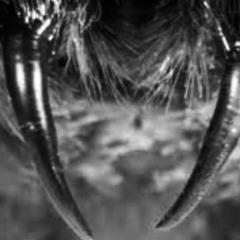 송곳니 - DRUM.TXNEW.P