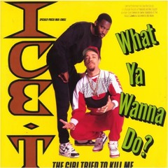 Ice T - What Ya Wanna Do (Instrumental)