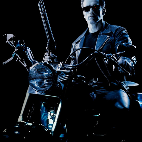 Terminator theme demo