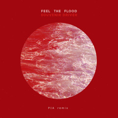 Feel the Flood - Pete International Airport Remix