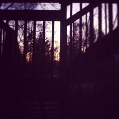 IFHY (Tyler the Creator white boy acoustic Cover) [explicit]