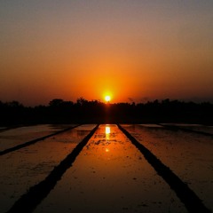 You're Still The One - Shania Twain (cover)