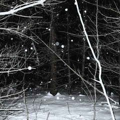 The Best Nighttime Sleigh Ride Through The Woods