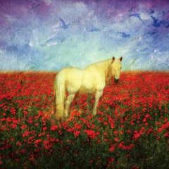 Hymn For the Innocent