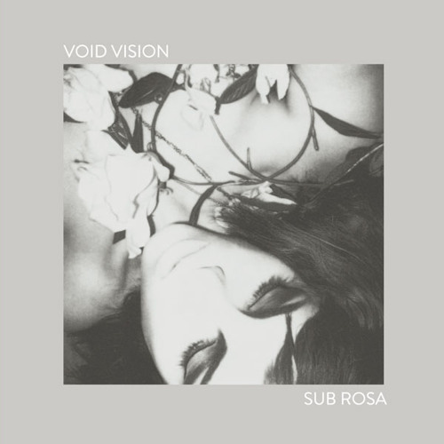 Void Vision - Vulgar Displays