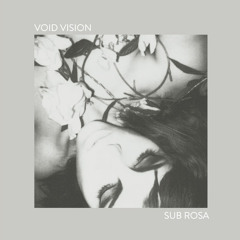Void Vision - Hidden Hand