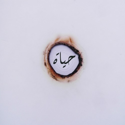 موسيقى فوق النخل توزيع جديد