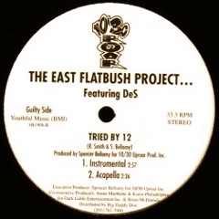 TRIED BY 12(Plus-ion REMIX)/THE EAST FLATBUSH PROJECT