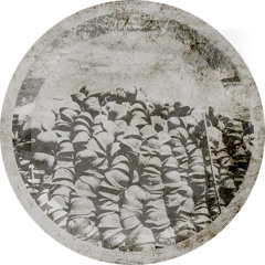 C Mantle - Kindly Ones (previews)