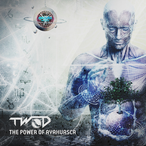 03- TWO - D - Experience