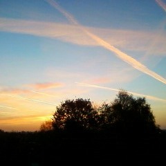 No time for Anna Logg