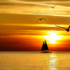 Towards My Dream