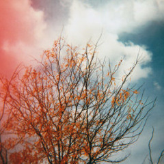 Ralph & Larry Houl - Maybe