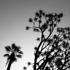 Valley Uprising Soundtrack - Playlist (by Mucho Arigato)