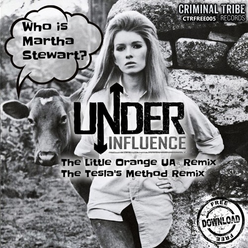Under Influence - Who Is Martha Stewart (The Little Orange Ua Remix)