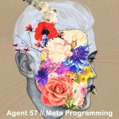 Agent 57 - Meta Programming