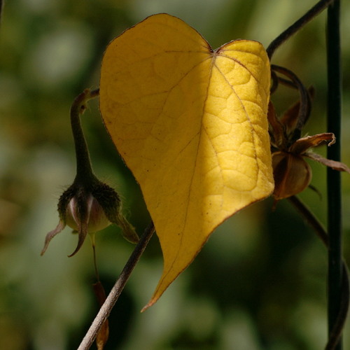 Stream BOOGIE Guest Mix For CLUB TIME Radio Show On KATRA FM 10/ 2014