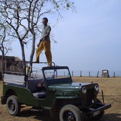 Fieldrecording: Bird watching in the Kanha national park, India