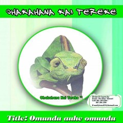 Ohakahana 2008 - Ndjisire Track 8