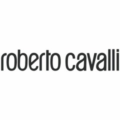 Roberto Cavalli Menswear Autumn/Winter 2014-15 Catwalk