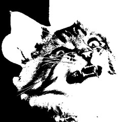 We Never Named This One