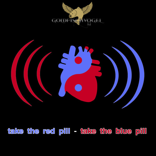 Red Pill Blue Pill Song
