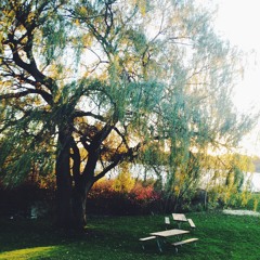 All In Time (Drums + Bass)