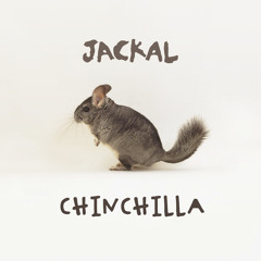 Jackal - Chinchilla