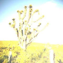 Ilusiones - home studio take