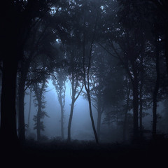 Robert Dorschel - The Forest Looks Back At You