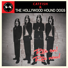 CATFISH & THE HOLLYWOOD HOUND DOGS - She Gotta Problem