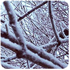 Русская солянка