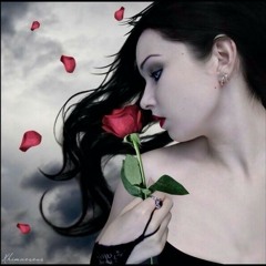Aaine ke sau tukde karke humne dekhe hain at 12-7800