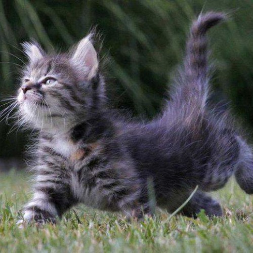 Nelly Furtado - All Good Things