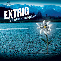 Wann's rengt (Ausschnitt)