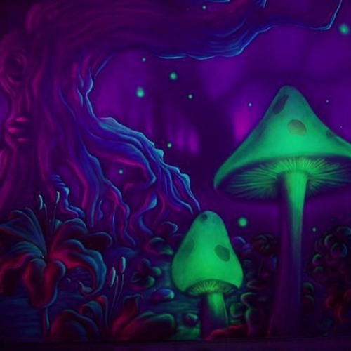 Psylo Universe (With mastering)