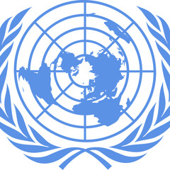 Cam Johnston StortMUN 2014