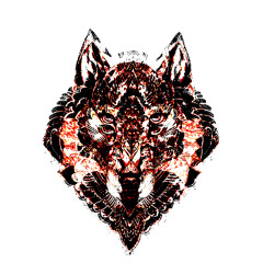 Kök - Masal live @peyote