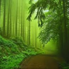 Shades of Green Preview