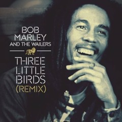 Bob Marley & The Wailers - Three Little Birds(Skuug Remix)