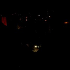 And came the day Adam found a red honey bee sitting down the hill on Big Elder's eye